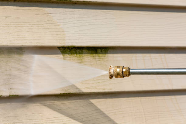 Deck Cleaning Services in Forestville, OH